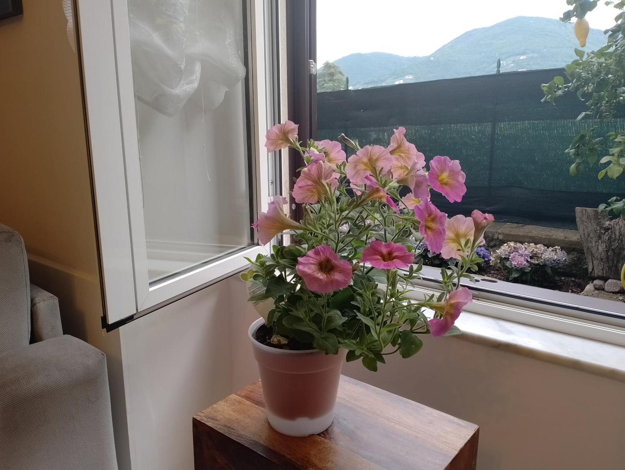 Casa Veve' Apartment Специя Екстериор снимка